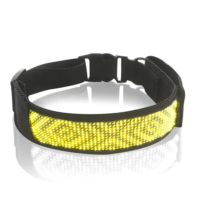 Led Pet Collar