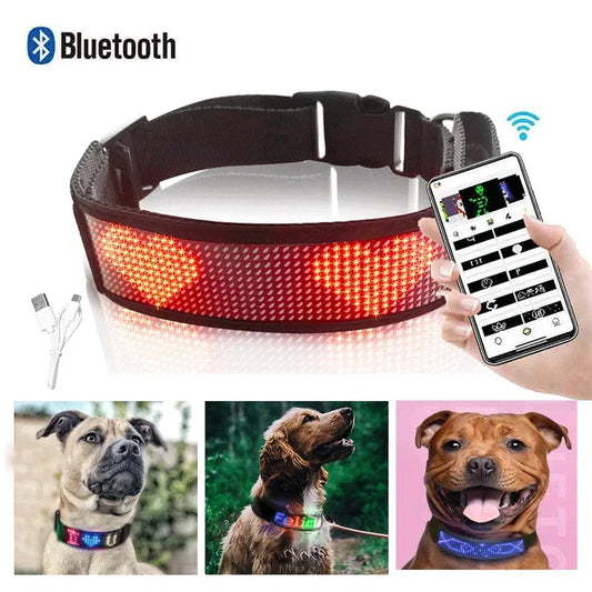 Led Pet Collar