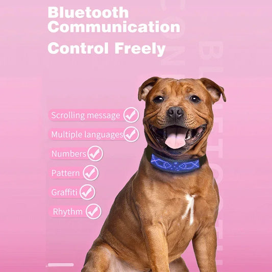 Led Pet Collar