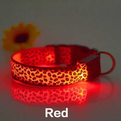 Leopard Collar
